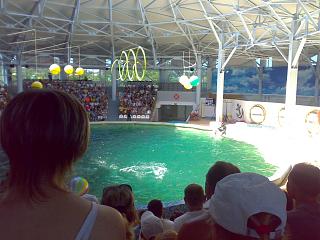 Летом в Крым-19072013061.jpg