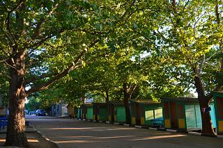 Летом в Крым-dsc_0052_novyi-razmer_novyi-razmer.jpg