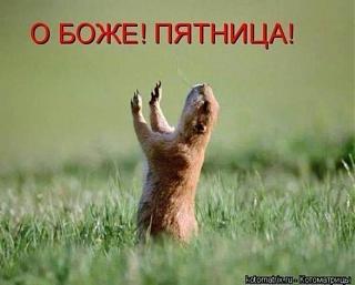 Ура,пятницаааа!!!-jbib_g2cpuq.jpg