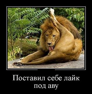Как ни грустно, но пора…-demotiw0-3-.jpg