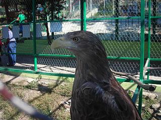 Отдых и путшествия-095.jpg