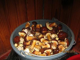 Грибочки-img_3297.jpg