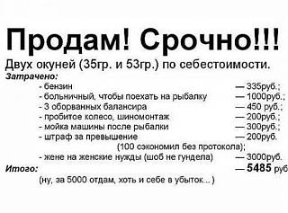 Приколы из интернета-kqgz6le-y0g.jpg