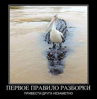 Для поднятия настроения!-1getimage.jpg