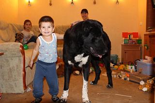 Наши дети и дети детей.-img_1047.jpg