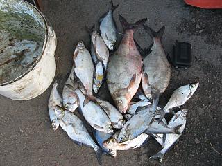 Рыбалка-img_5722.jpg