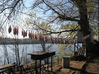 Рыбалка-img_5723.jpg