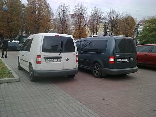Охота на Caddy.-foto3589.jpg