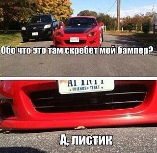 Для поднятия настроения!-image.jpg