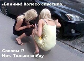 Для поднятия настроения!-image.jpg