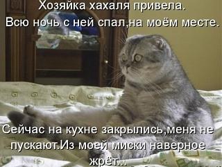 Для поднятия настроения!-image.jpg