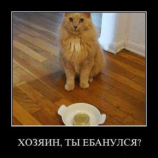 Для поднятия настроения!-image.jpg