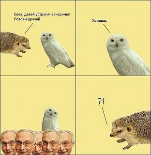 Для поднятия настроения!-image.jpg
