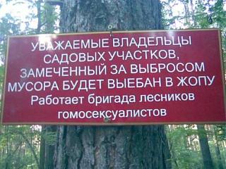 Для поднятия настроения!-image.jpg