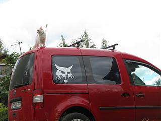 Хочу представиться! (или Давайте знакомиться!)-img_2597.jpg