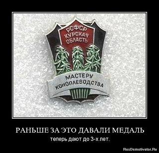 Для поднятия настроения!-konoplya.jpg