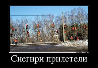 Для поднятия настроения!-snegiri.jpg