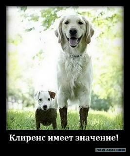 Для поднятия настроения!-klirens.jpg