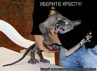 Для поднятия настроения!-kot-dyavol.jpg