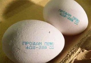 Приколы из интернета-p1exc7qdwzi.jpg
