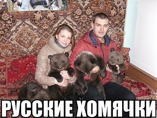 Для поднятия настроения!-homyachki.jpg