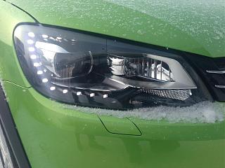 Аллигатор CrossCaddy 2.0TDi 4 motion-img_2250.jpg