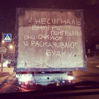 Для поднятия настроения!-kxqg23i3ao8.jpg
