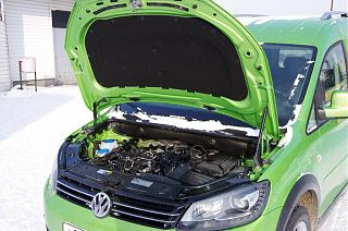 Аллигатор CrossCaddy 2.0TDi 4 motion-imgp2656.jpg