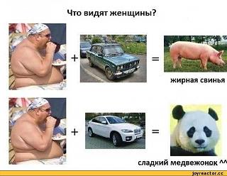 Для поднятия настроения!-zhirnaya-svinya.jpg