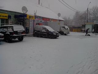 "лето" кто то уже одел ??-img_20140317_103501.jpg