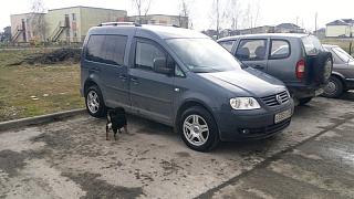 Поставил релинги-2014-03-23-1141.jpg