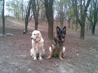 Домашние питомцы.-10042014.jpg