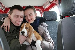 Домашние питомцы.-2.jpg