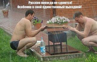 Для поднятия настроения!-shash.jpg