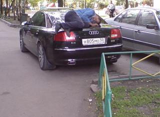 Приколы из интернета-0_c913b_f9bf744e_xl.jpg