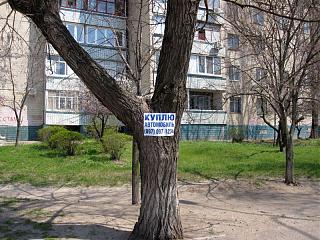 Для поднятия настроения!-img_0020.jpg