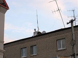 Для поднятия настроения!-f-032.jpg