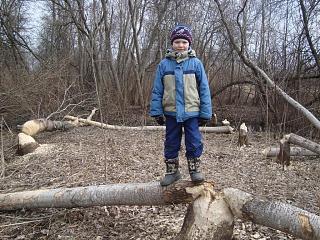 Наши дети и дети детей.-dsc04794.jpg