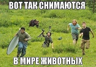 Для поднятия настроения!-timststs.jpg