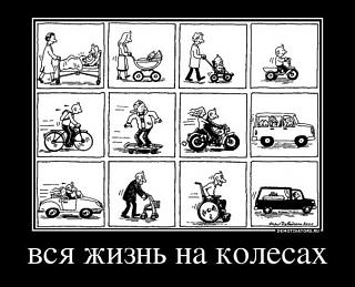 Для поднятия настроения!-hqzuqjeqyfw.jpg
