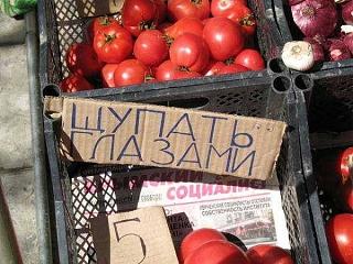 Для поднятия настроения!-pomid.jpg