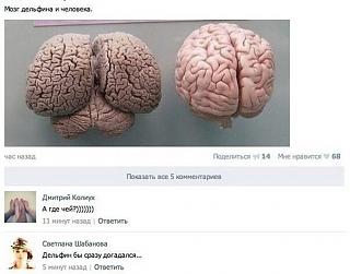 Для поднятия настроения!-image.jpg