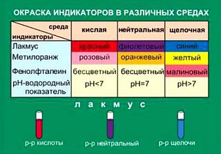 Интересные факты, события, изобретения...-lakmus.jpg