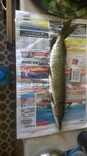 Рыбалка-wp_20140907_002.jpg