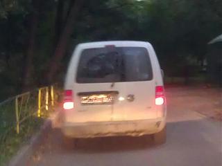Охота на Caddy.-imag1167.jpg