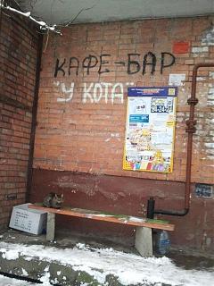 Приколы из интернета-u-kota.jpg