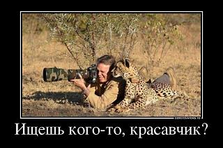 Охота на Caddy.-27330675_ischesh-kogo-to-krasavchik.jpg