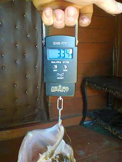 Рыбалка-foto0205.jpg