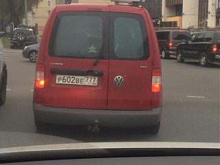 Охота на Caddy.-image.jpg