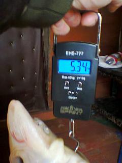 Рыбалка-foto0210.jpg
